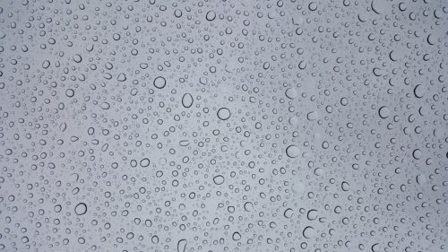 Shower screen