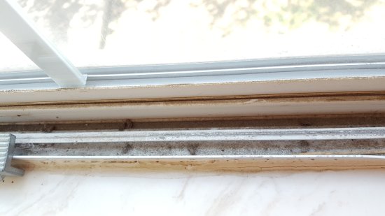 window track