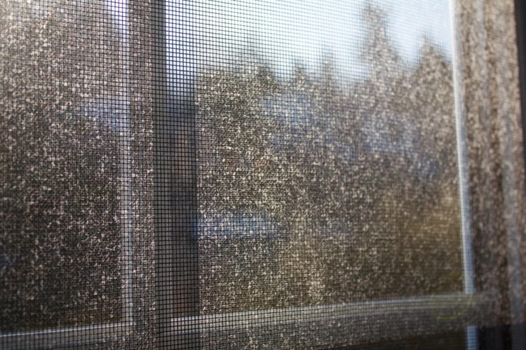 Window Screens & Tracks