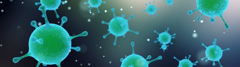 The Hidden Places Your Home Builds Bacteria Over Summer — And How to Stop It