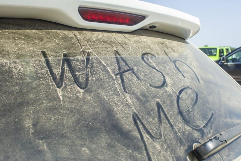 What Type of Car Owner/ Client Are You?