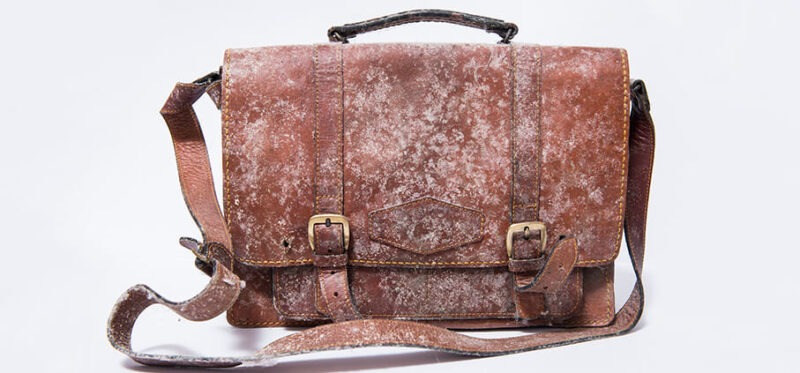 Mould Problems?