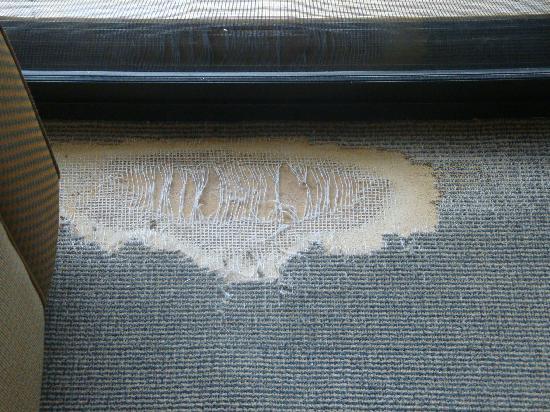 Common Carpet Problems & How To Avoid Them
