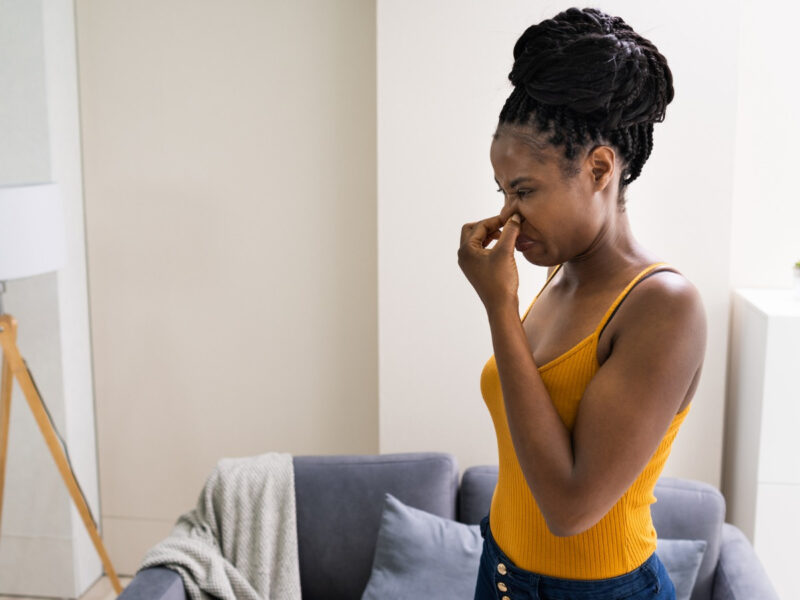 The Science of a Fresh-Smelling Home: Why Odours Linger & How to Fix Them