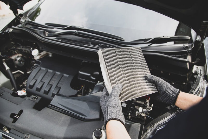 Car Mould Cleaning