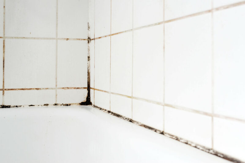 Bathroom Cleaning Tips to Prevent Mould and Mildew